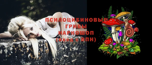 гидропоника Баксан